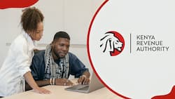 KRA Internship 2024/2025: careers, application and requirements