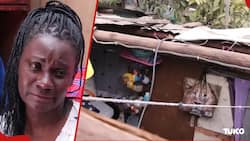 Kajiado Mum Emotionally Says Landlady Removed Roof to Kick Her, 2 Kids out of House