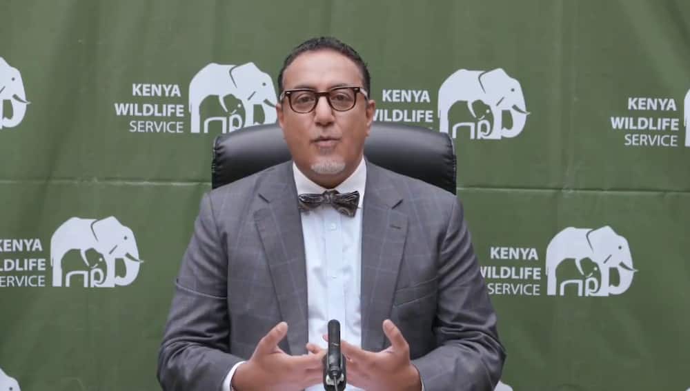 Gov't slashes entry fees to KWS game parks by 50% to encourage tourism