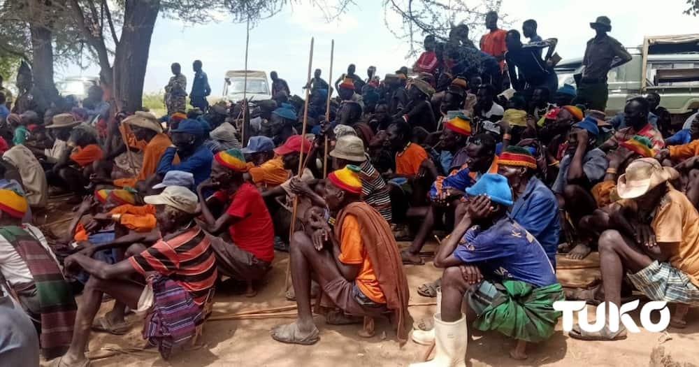 Turkana community during peace meeting. Photo: TUKO.co.ke correspondent Mercy Chebet.