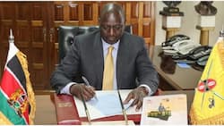William Ruto Plans to Lower Cost of Credit for Small Businesses Through KSh 50b Hustlers Fund: "We'll Shift CRB's Punitive Practices"