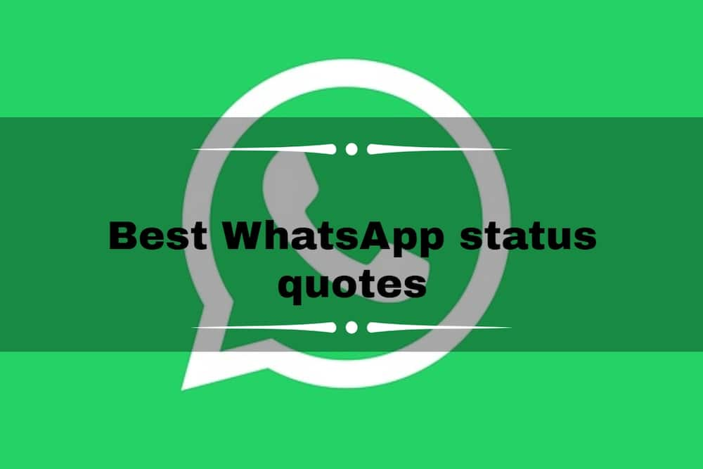 Quotes status 120 Best