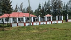 Siaya Man Builds Magnificent House, Inscribes Name on Fence Enclosing It: "Dominic"