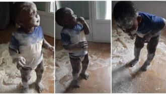 Huyu Atatoboa Kweli: Mischievous' Kid Spills Powder, Messes up Himself, Gets Caught by Mum in Video