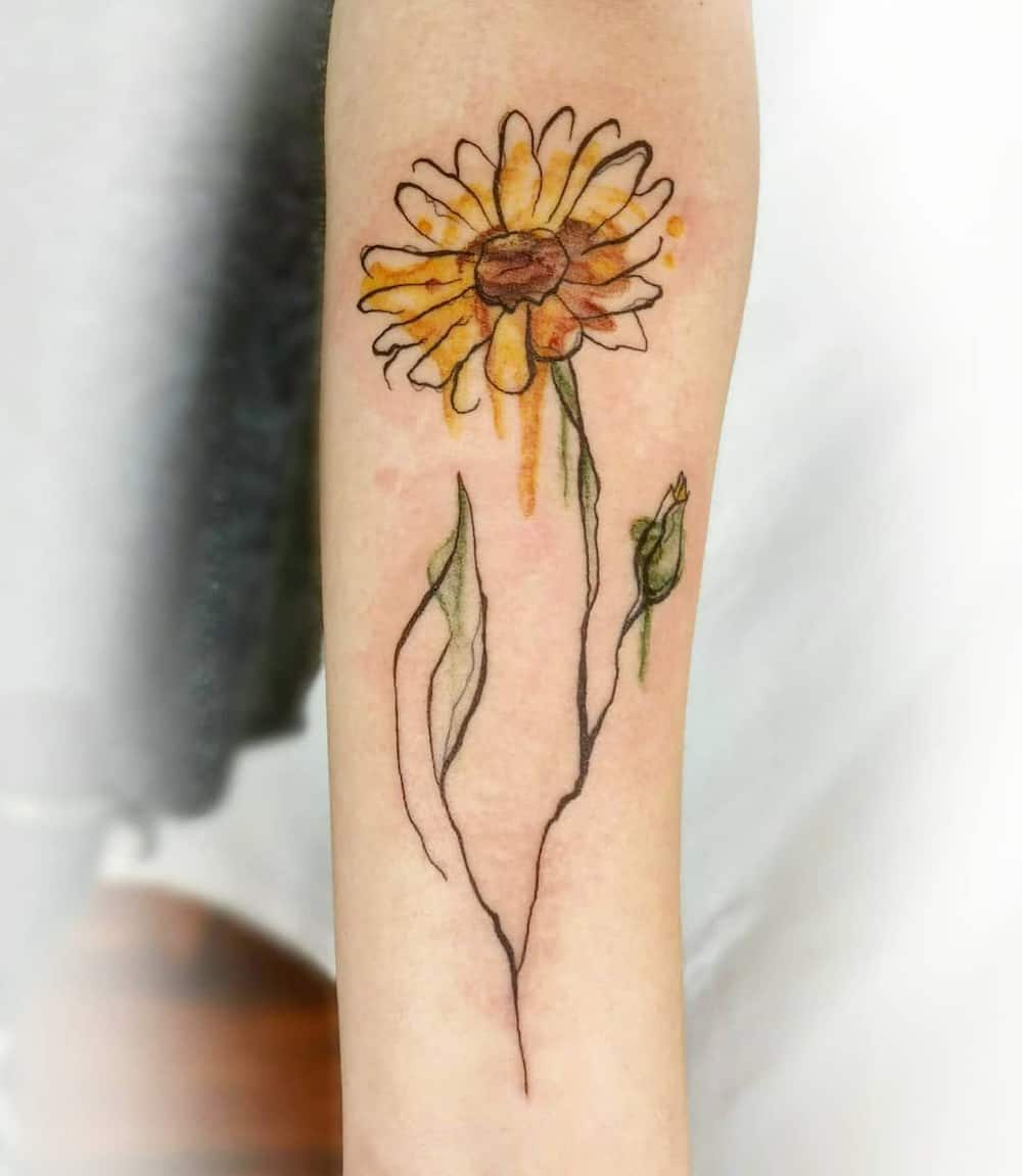 Daisy tattoo designs