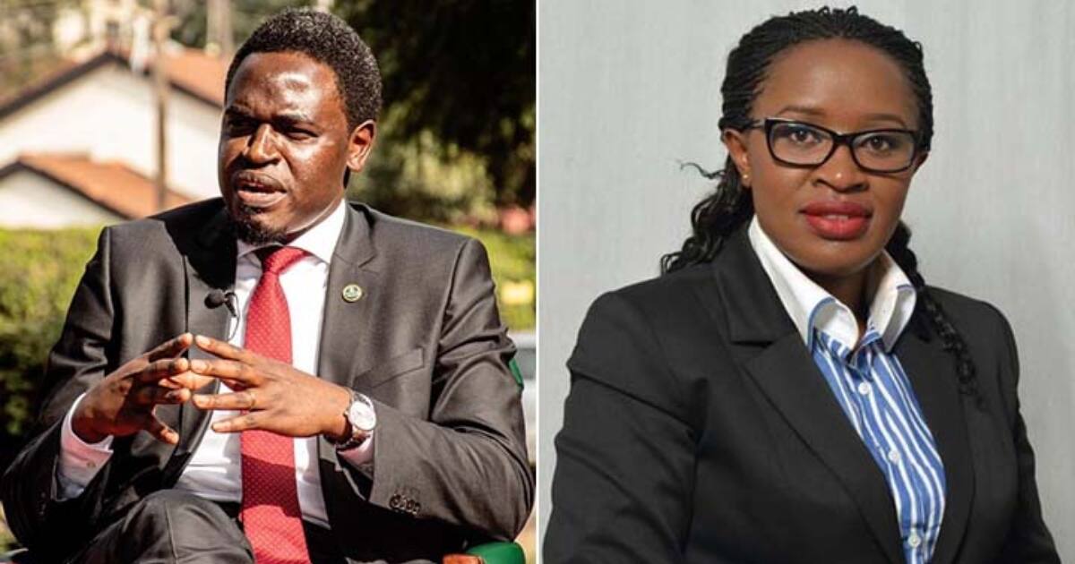 Bar Row: Nelson Havi Accused of Assaulting LSK CEO Mercy Wambua - Tuko ...