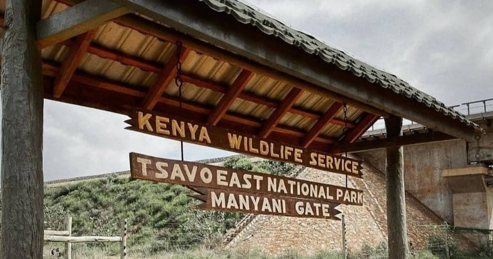 Tsavo National Park