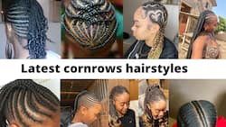 Top 30 latest cornrows hairstyles you should try in 2022