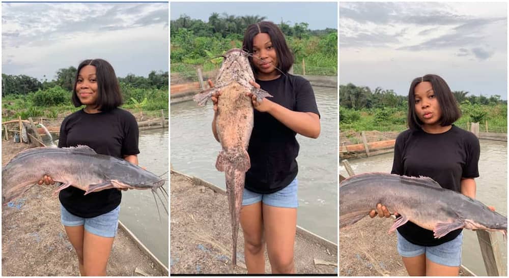 Photos of a lady showing off a large catfish.