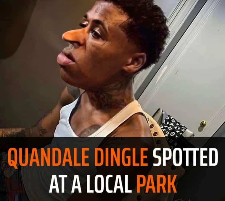 Is Quandale Dingle a real person or just a meme? The truth - Tuko.co.ke