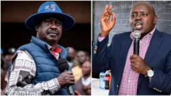 Cherargei Asema Raila Odinga Atawajibishwa Ikiwa Mkenya Yeyote Atakufa Kwa Sababu ya Maandamano