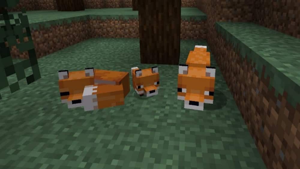 What blocks can mobs see through in Minecraft