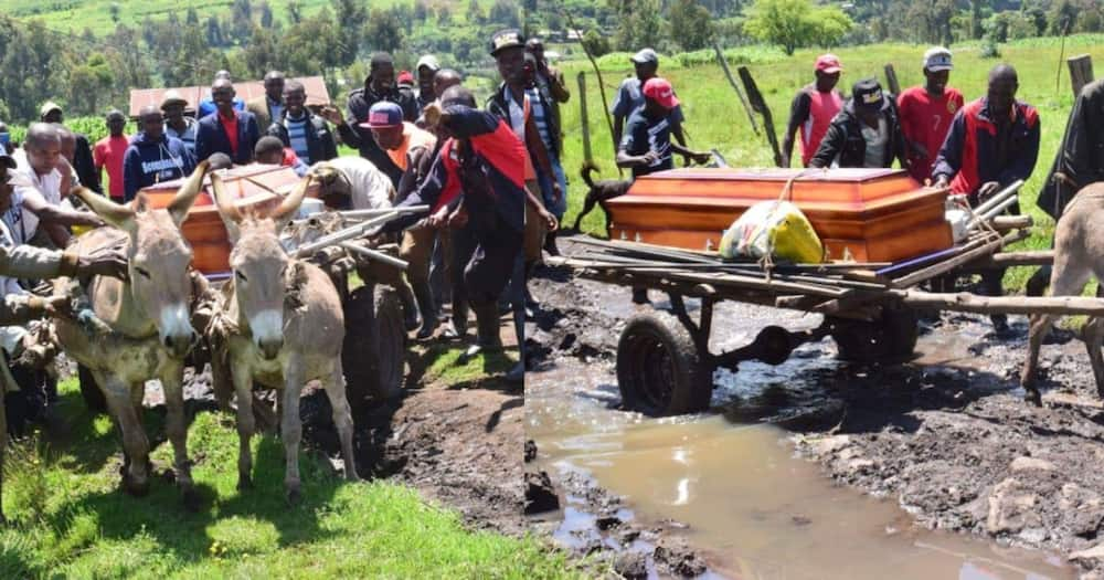 Wakazi wa Nyandarua watumia punda kusafirisha maiti