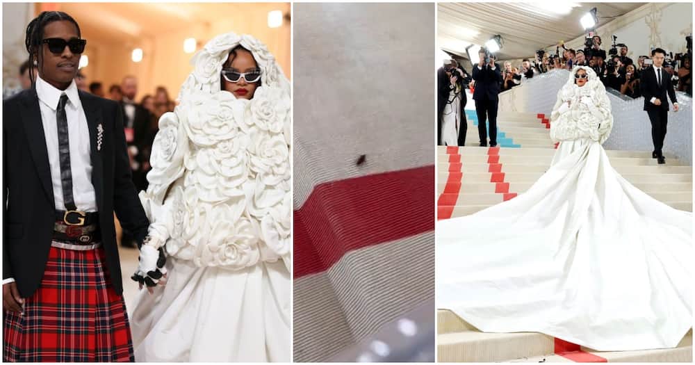 Met Gala 2023: Drama as Cockroach Spotted on the Red Carpet Before ...