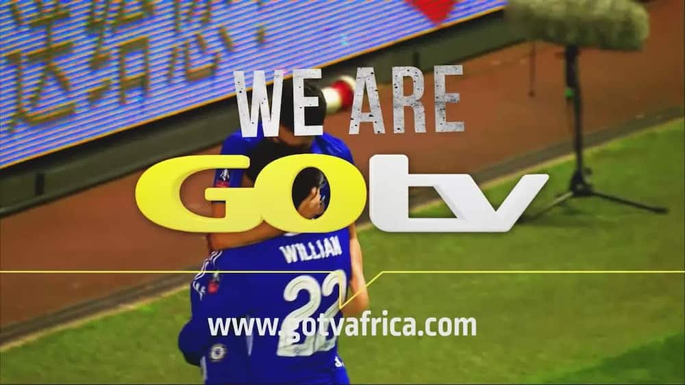 How to search channels on GOtv