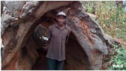 Taita Taveta family that lived inside baobab claim dishonest well-wishers used misery to con them