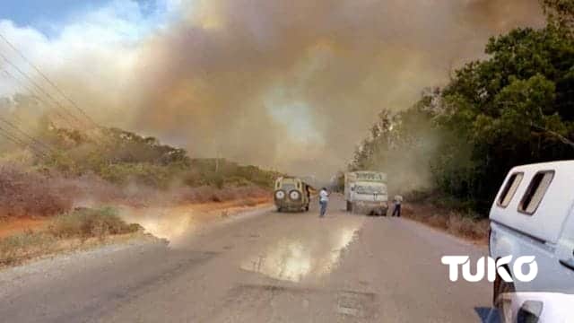 Arabuko-Sokoke forest on fire, cause of inferno unknown