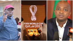 Senator Cherargei Says Federations to Blame for Kenya's Absence in Qatar World Cup