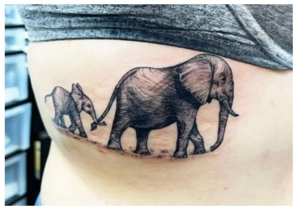 cute 2 elephant tattoos