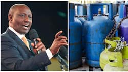 William Ruto Issues Stern Warning to Brokers in Cooking Gas Business: "All Outlets Must be Licensed"