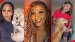 Kenyan Woman with 30 Pets Opens up On Upbringing by Stepdad: "Maisha Ya Kuogopa"