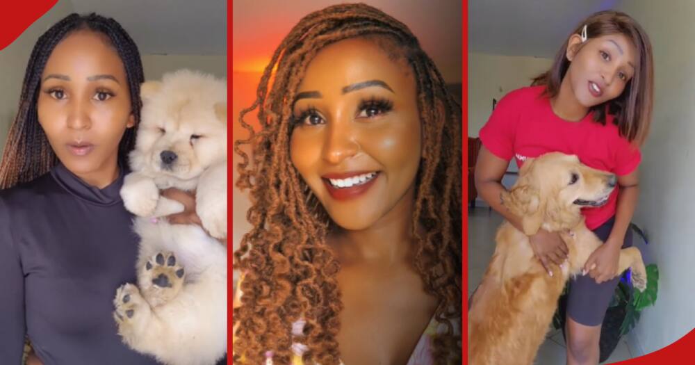 Brenda Michelle, Kenyan woman with 30 pets narrated her childhood upbringing.