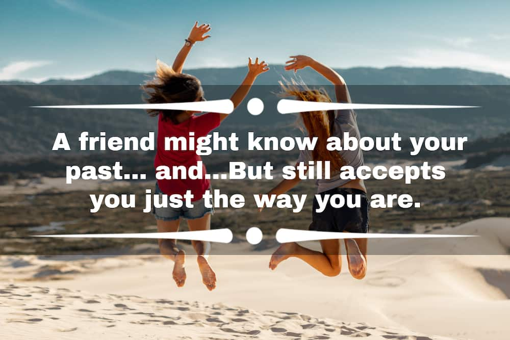 30+ Matching Bios For Best Friends On Instagram And Tiktok - Tuko.co.ke