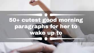 long good morning essay for her