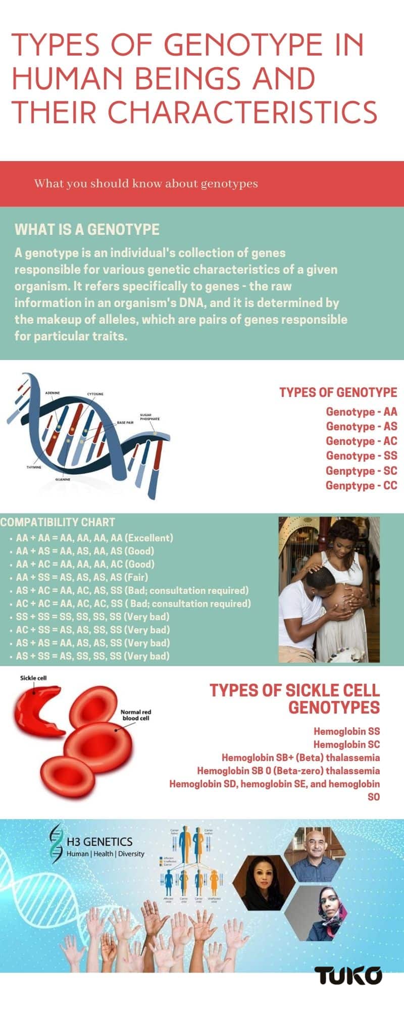 Types of genotype