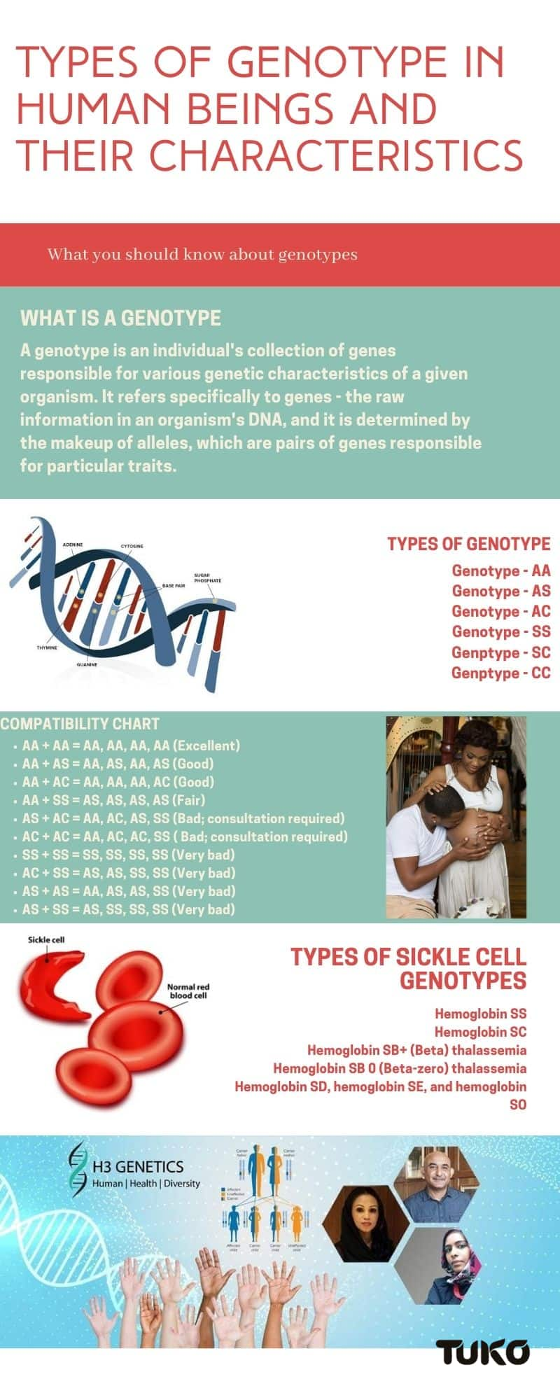 types-of-genotype-in-human-beings-and-their-characteristics-tuko-co-ke