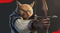 230+ Tabaxi names for your Dungeons And Dragons character