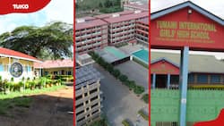 The best private secondary schools in Machakos County in 2024