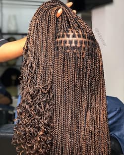 20 sexy micro braids hairstyles pictures - Tuko.co.ke