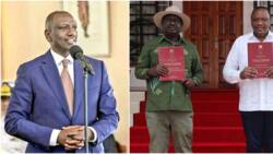 William Ruto Opposed BBI to Punish Mt Kenya Economically, Rob the Youth of Their Future