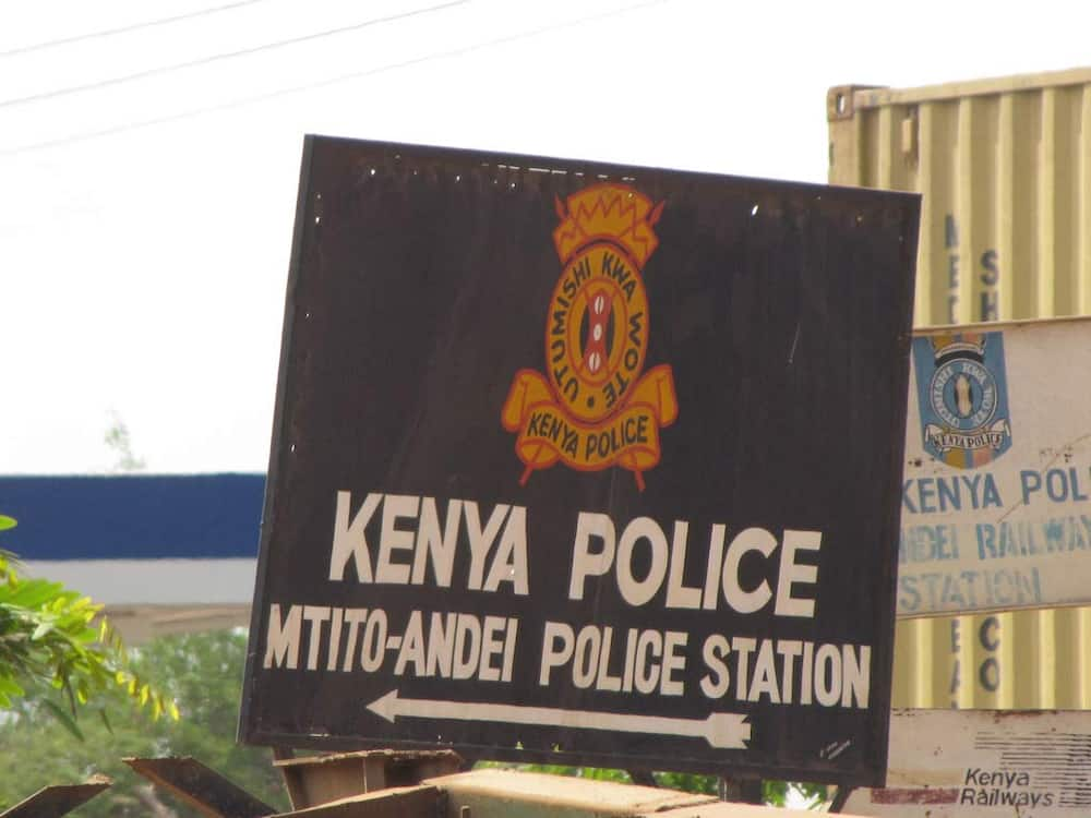 Miili 6 ya wanaume yapatikana katika mbuga ya Tsavo, polisi waanza uchunguzi