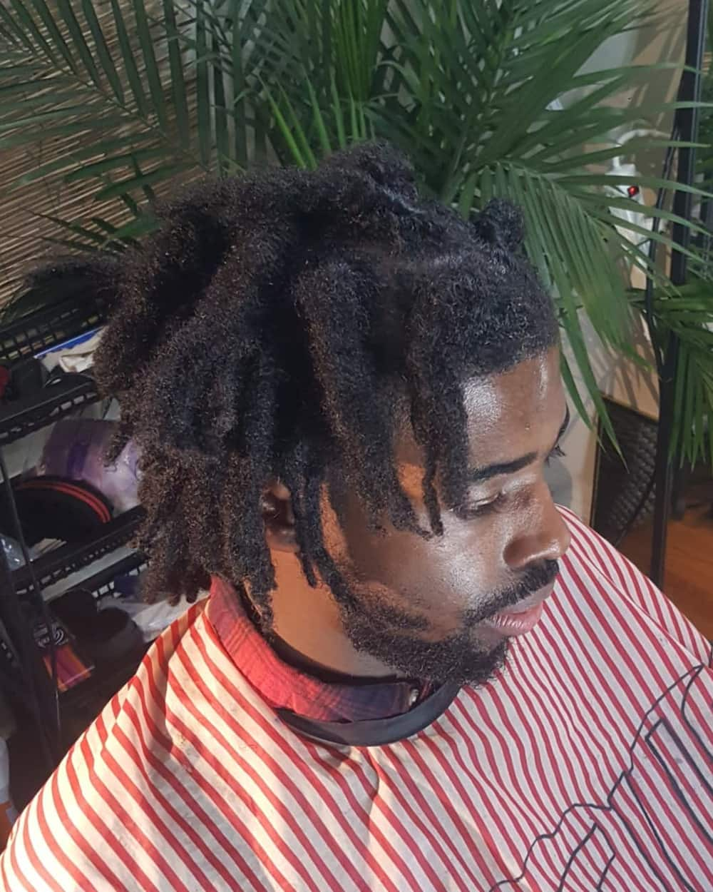 20 Congo dreads (bongo) hairstyles for ladies and men 