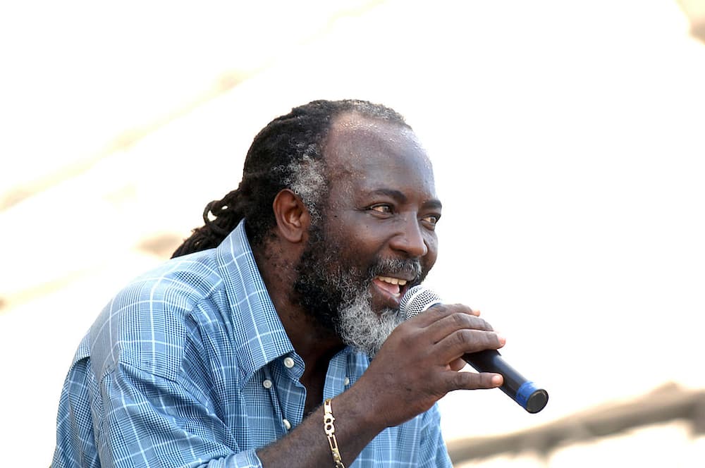 The 15 best reggae artists of all time Who is the greatest? (2022)