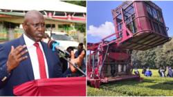 Kericho: Governor Eric Mutai Dares Multinationals to Leave for Rwanda Over Tea Plucking Machines