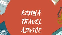 Crucial information on Kenya travel advice for foreigners