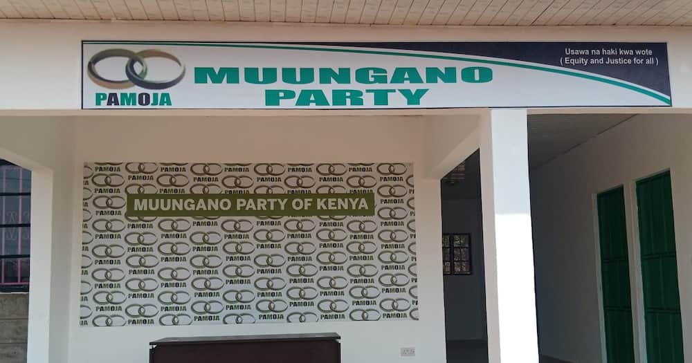 Kivutha Kibwana will fly Muungano Party presidential flag in 2022.