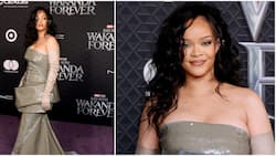 Rihanna Makes Music Comeback on Black Panther Soundtrack, Sets Red Carpet on Fire