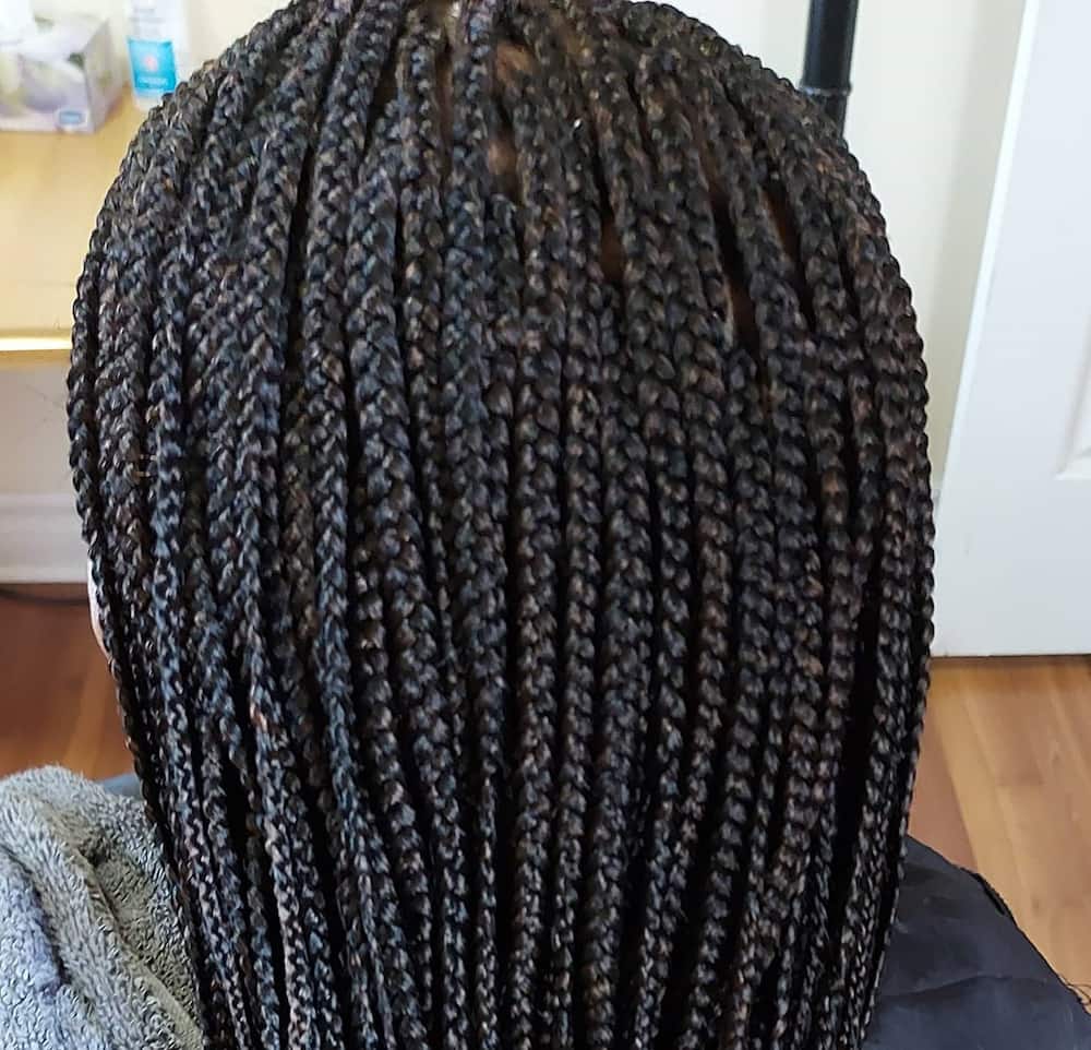 African-inspired Coi Leray braids