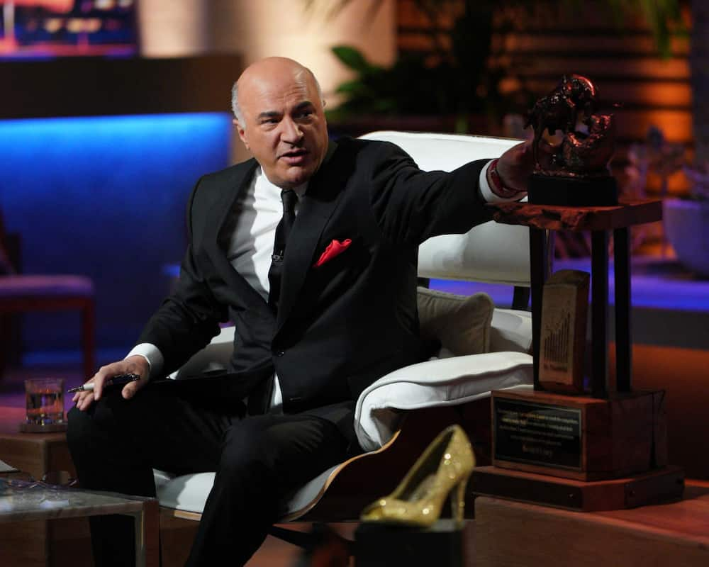 Shark Tank cast net worth Who is the richest? Tuko.co.ke