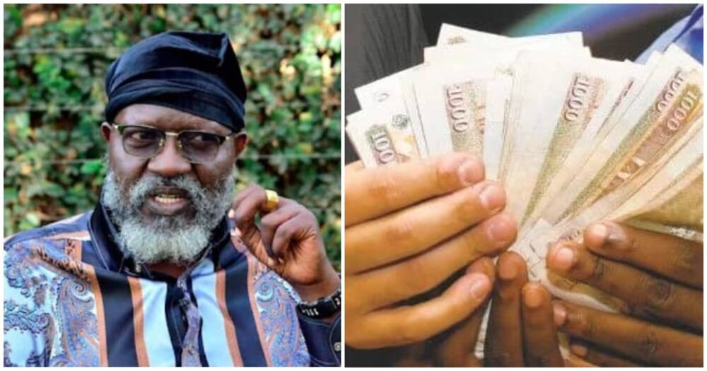 Wajackoyah Adai Aliletewa Ksh 200M Ajiondoe Katika Kinyang'anyiro Akakataa: "Nilikaa Ngumu"