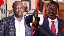 Cost of Living Wasn't Part of Azimio's Issues, We Brought It Up to Win People, Robert Alai Claims