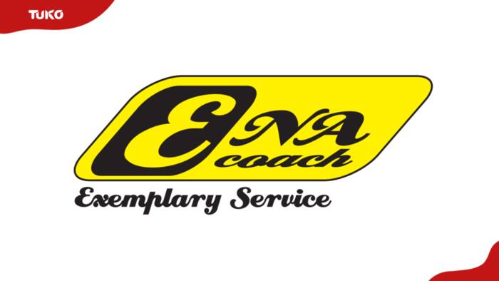 ENA Coach online booking, fares, routes, parcels, contacts, owner (2024 update)