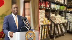William Ruto: Unga Prices Have Dropped from KSh 250 to KSh 145 Due to Fertiliser Subsidy