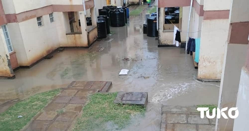 Lang'ata Police Officers Count Losses as Flood Waters from Road Construction Site Submerge Their Houses