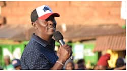 William Kabogo Loses His Cool, Insults Youth Disrupting His Rally: "Wapumbavu Nyinyi"