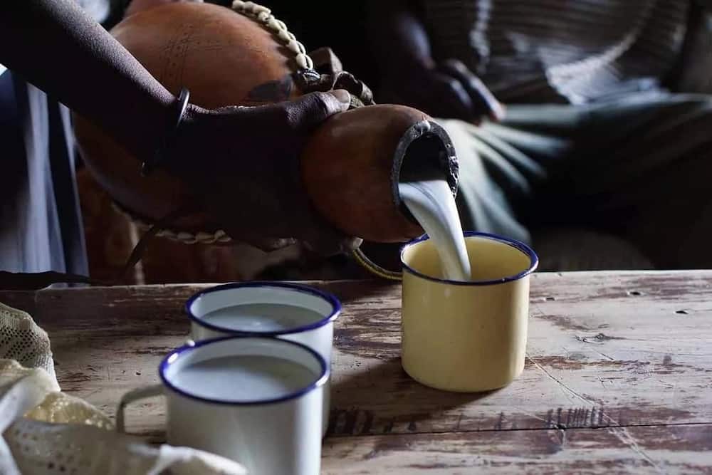 Experts say research linking mursik milk to cancer is faulty